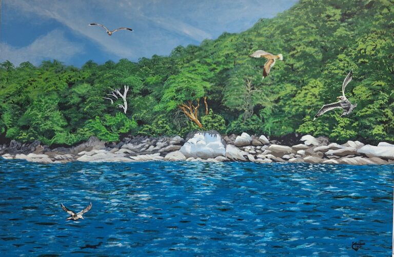 Isla de Taboga mar, vegetación y playa rocosa