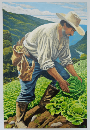 A realistic painting of a rural farmer carefully harvesting lettuce in a green hillside field, surrounded by mountains and a distant river, capturing a scene of traditional agricultural life.